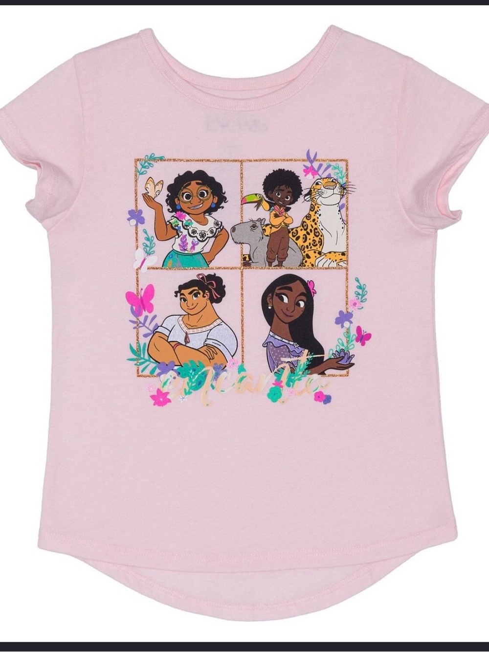 Encanto NWT Girls' Pink Graphic Character Tee